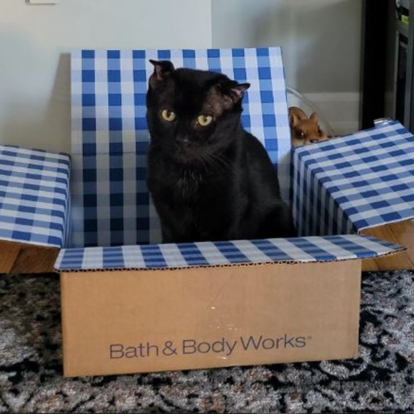 BATH & BODY WORKS WITCH CAT HALLOWEEN NIGHTLIGHT PLUG + VAMPIRE BLOOD WALLFLOWER - Picture 4 of 4